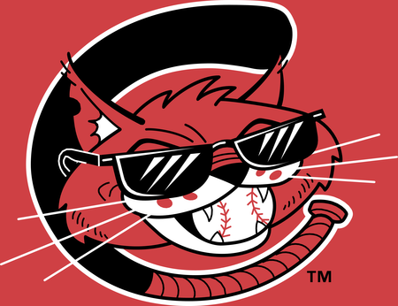 Charleston Alley Cats