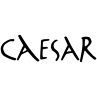 Caesar Groep