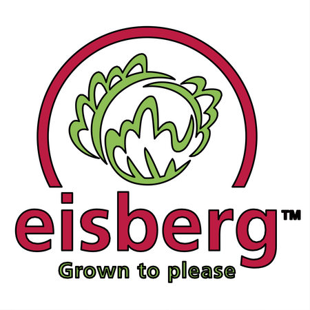 Eisberg