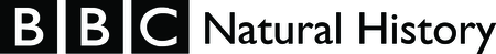 Bbc Natural History