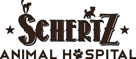 Schertz Animal Hospital