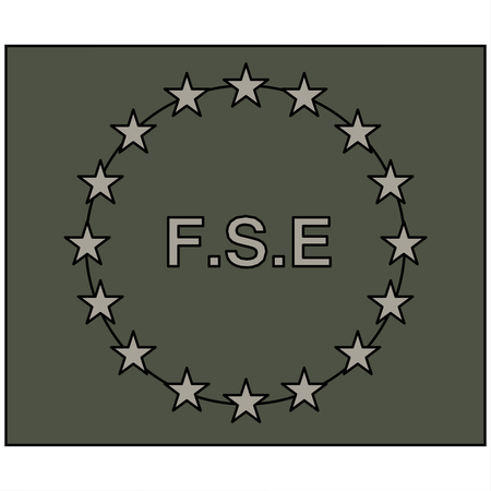 FSE