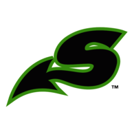 Shreveport Swamp Dragons