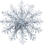 Swirl-patterned Snowflake