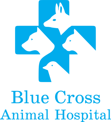 Blue Cross Animal Hospital