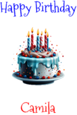 Happy Birthday Camila Custom Message