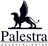 Palestra Aguascalientes