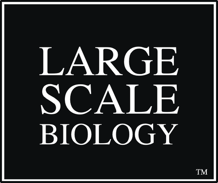 Large Scale Biology