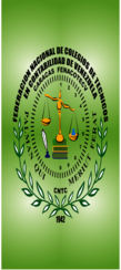 Federacion Nacional Colegio De Tecnicos Contabilidad 