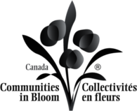 Communities in Bloom