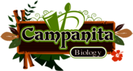 Campanita Biology