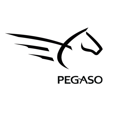 Pegaso