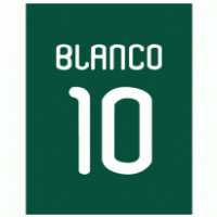 Fonte camisa Palmeiras Adidas 2009