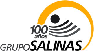 Grupo Salinas 100 años