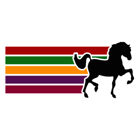 Feria Internacional del Caballo Texcoco