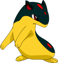 Quilava Pokemon