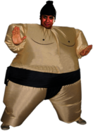 Sumo Costume