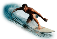 Surfer On Wave