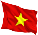 Vietnam Flag Wave