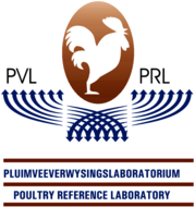 PVL PRL