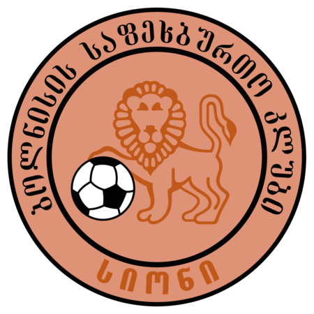 FC Sioni Bolnisi