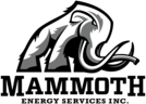 Mammoth Energy Services