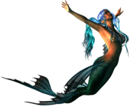 Mermaid Swimming Up