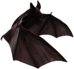 Grey Bat 3D Illustration