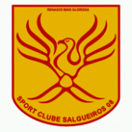 SC Salgueiros 08
