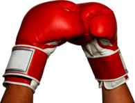 Boxing Gloves Hands