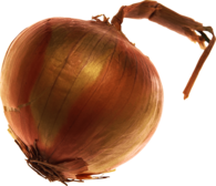 Onion Large