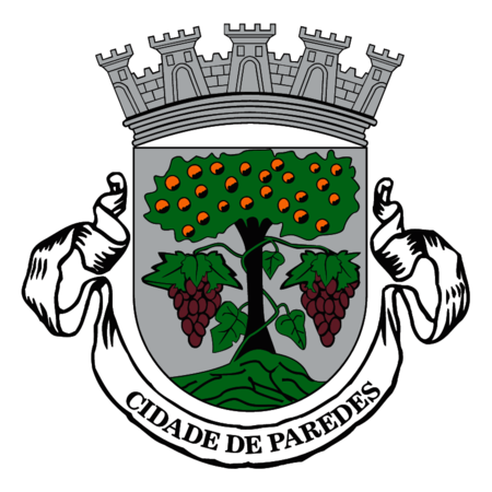 Camara Municipal de Paredes