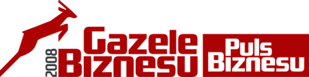 Gazele Biznesu 2008