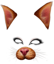 Snapchat Filter Brown Cat