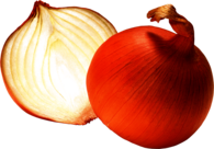 Open Onion
