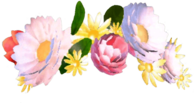 Snapchat Filter Flowers Bouquet