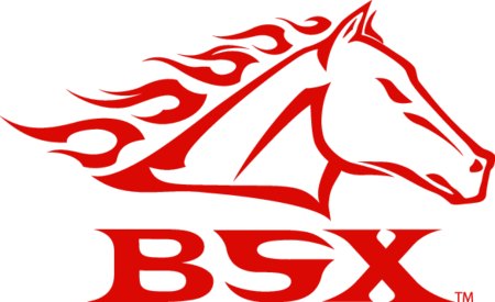 BSX
