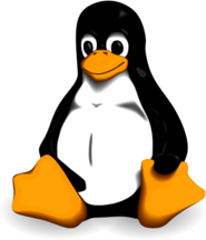 Linux 