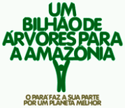 PROGRAMA TECHO-CHACAO