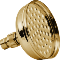 Gold Shower Head