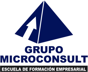 Microconsult Peru
