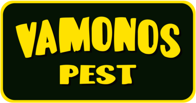 Vamonos Pest - Breaking Bad