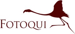 Fotoqui