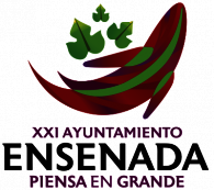 Carnaval Ensenada 2011