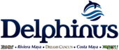 Delphinus