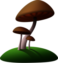 Mushrooms Brown Clipart