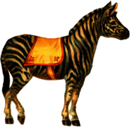 Zebra Circus