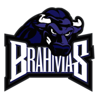 Fort Worth Brahmas