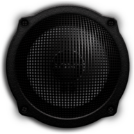 Audio Speaker Woofer