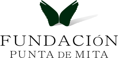 Fundación Punta de Mita